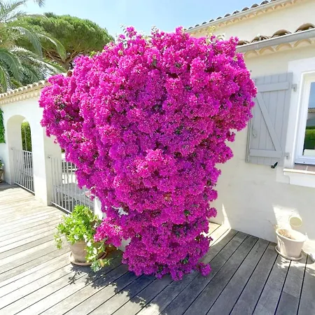Nice Holiday Home Grimaud